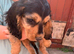Cocker spaniels