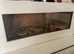 Royal python