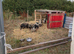 Kune-kune. Cross boys