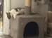 Adorable Kitten Looking for a Loving Home