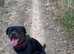Max, pedigree 2 year old Rottweiler