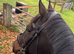 Super safe schoolmaster