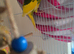 Green and yellow with red crown female available