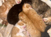 Adorable kittens for sale only 2 left
