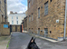 Female Black&Tan German Shepherd
