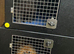 Pet Transport DEFRA licensed Devon Cornwall Somerset