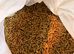 REPTI TURF Tortoise Substrate. Biodegradable LARGE BAG