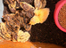 Quail for sale Blackwood