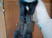 Semi angora