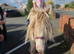 12hh first or second ridden pony