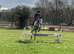 2 gelding DIY livery