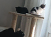 Beautiful healthy 2 boys kittens looking for home