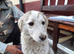 NALA – The Little Survivor Who Never Gave Up