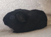 Lonely baby boy guinea pig ready now