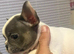 Super tiny girl