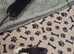 8 baby fancy rats for sale lovely markings