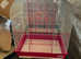 Bird cages all different sizes from &pound;30
