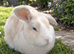 Peanut butter needs a new home