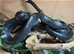 Boiga gemmicincta