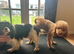 Cavapoo puppies