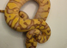 2026 pastel enchi coral glow hypo ball python