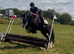 14.2/3H - 7Yo - Black - Gypsy Cob - Gelding - Family Cob