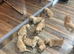 Stunning golden retriever puppies for sale