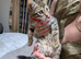 Female Cross Bengal Kitten