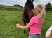 British riding pony