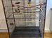 Excellent condition used bird cage