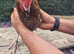 Cockrels for sale
