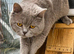 Beautiful bsh
