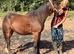 Yearling filly