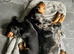 Two beautiful Black and Tan min Dachshunds