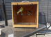 1 pair siskin