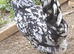 25+ Purebreeds to choose from - Hatching Eggs x6