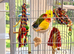 Beautiful pair of young Lovebirds