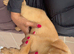 8 beautiful Labrador puppies