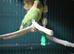 6 month old male Ringneck