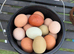 12x Hatching Eggs Mixed Hybrid Coloured Rainbow Chicken