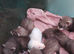 Kits