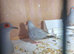 Diamond doves
