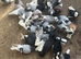 Quality stock and 2025 birds for sale
