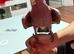 Baby galah Cockatoo