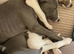 Stunning blue whippet bitch puppy for sale