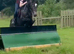 Pony club pony
