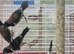 Black-faced Munia
