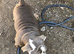 READY NOW 14 week old English Bulldogs last 2