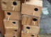13 budgie nest boxes 5 show cages 1 storage container with 3-5kg of egg food