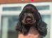 Show Cocker Spaniels
